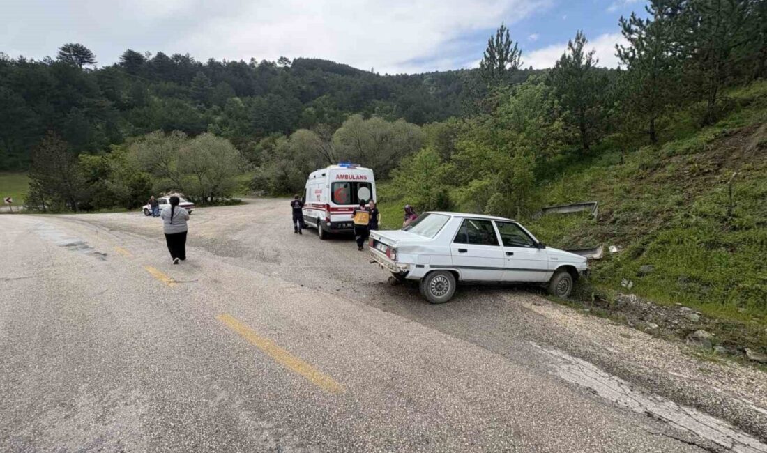 Kastamonu’nun Tosya ilçesinde otomobilin yoldan çıkarak yamaca çarptığı kazada 2