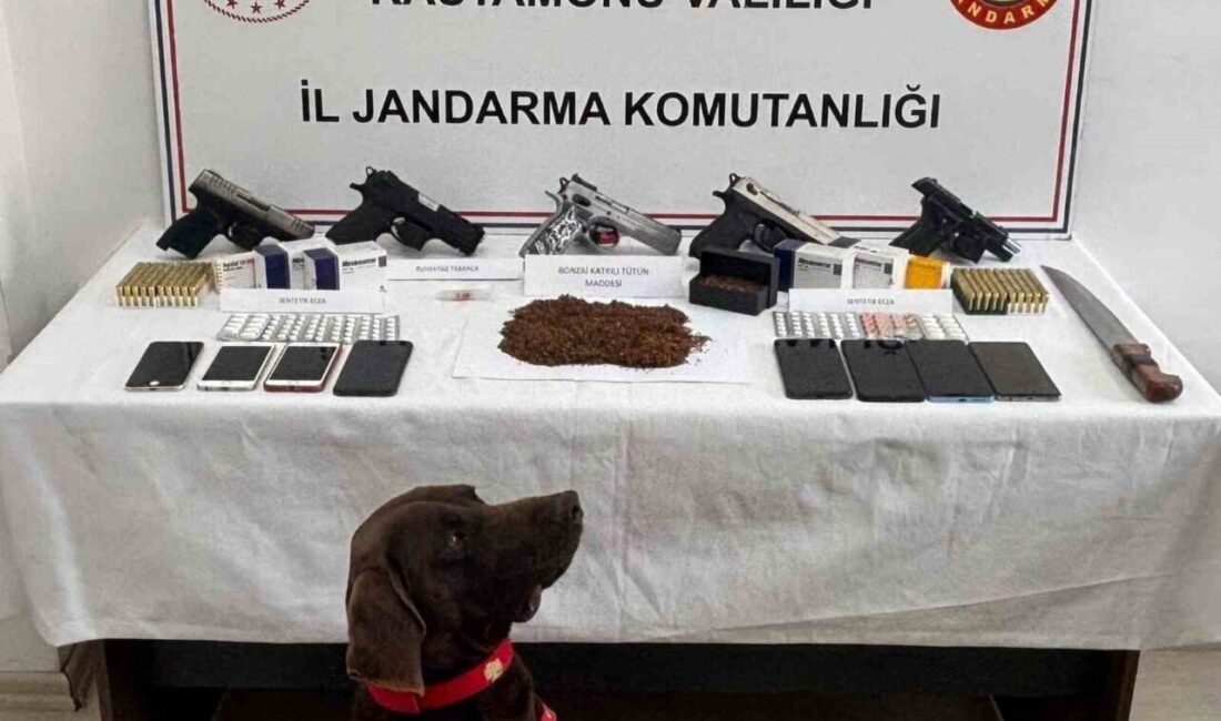 Kastamonu’da polis ekiplerince 8-15 Haziran tarihleri arasında düzenlenen operasyonlarda, gözaltına