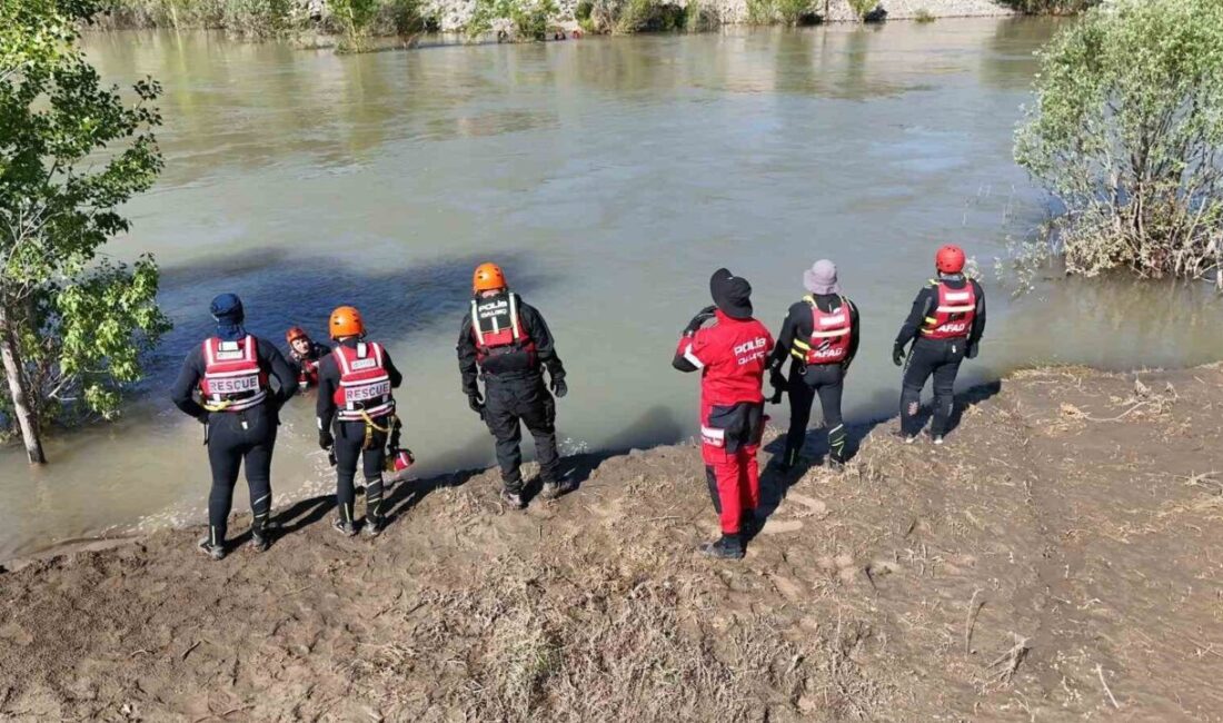 Sivas’ın Koyulhisar ilçesinde meydana gelen trafik kazasının ardından şok geçirerek,