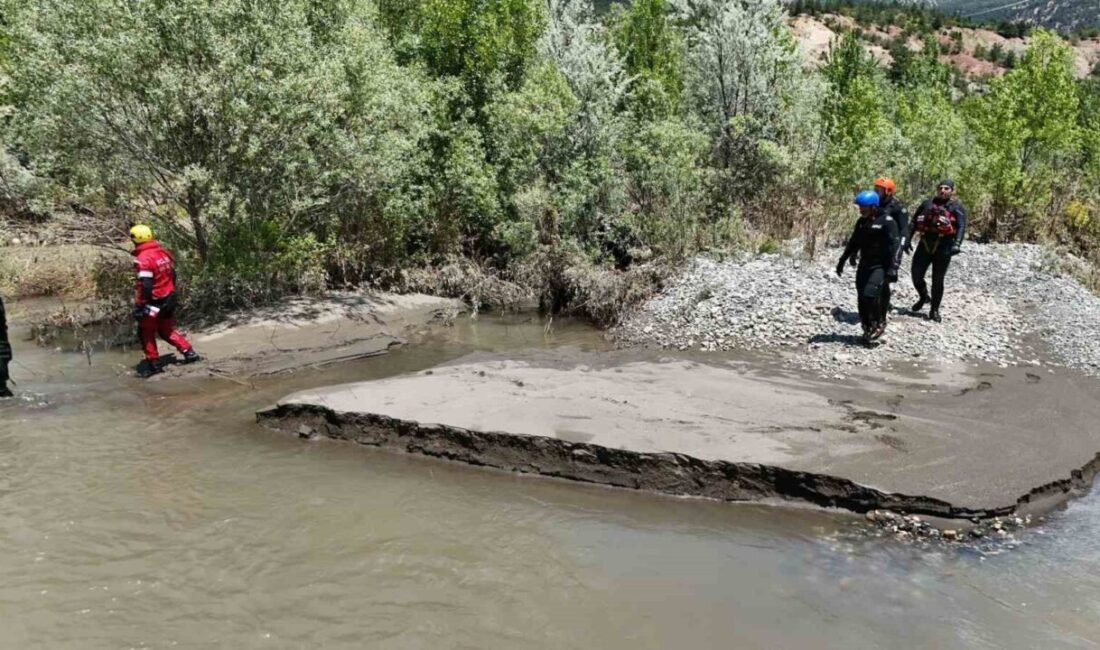 Sivas’ın Koyulhisar ilçesinde trafik kazasının şokuyla Kelkit Çayı’na atladığı iddia