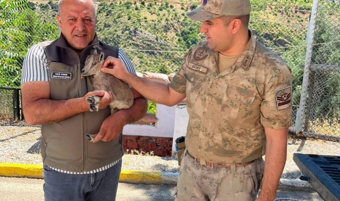 Erzincan’ın Kemaliye ilçesinde devriye gezen kolluk kuvvetleri tarafından yol kenarında