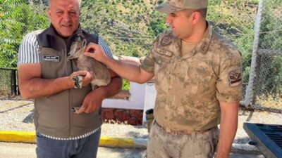 Erzincan’ın Kemaliye ilçesinde devriye gezen kolluk kuvvetleri tarafından yol kenarında