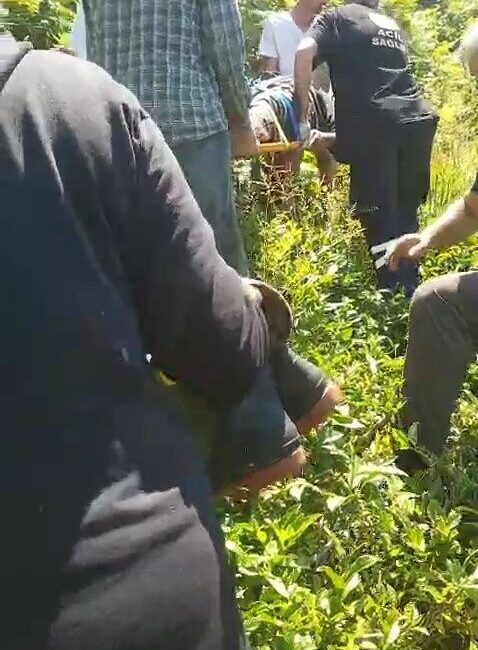 Rize’nin Pazar ilçesinde kiraz toplamak için çıktığı ağaçtan dengesini kaybederek
