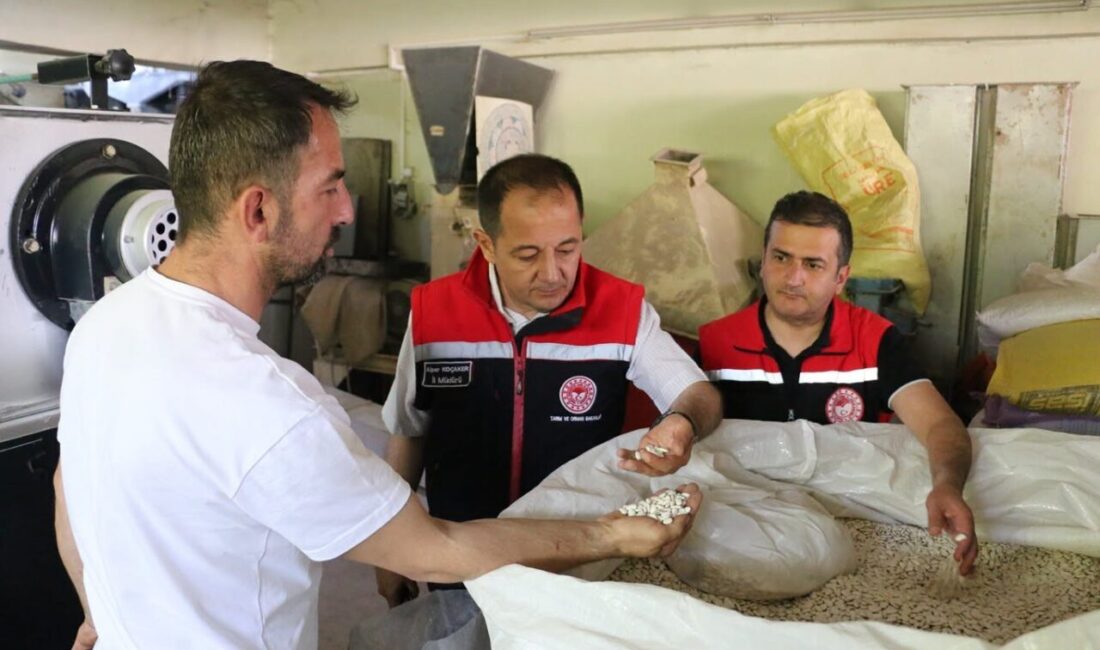 Erzincan İl Tarım ve Orman Müdürü Alper Koçaker, Yalnızbağ Mahallesi’nde