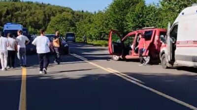 Ordu’nun Ulubey ilçesinde kontrolden çıkan hafif ticari aracın park halindeki