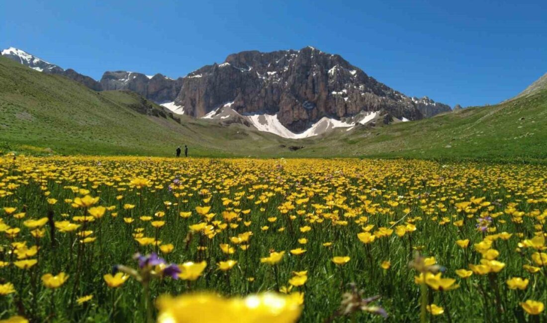 Erzincan ve Tunceli arasında yer alan Munzur Dağları eteklerinde yaklaşık
