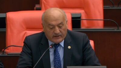 AK Parti Erzincan Milletvekili Süleyman Karaman, Türkiye Büyük Millet Meclisi