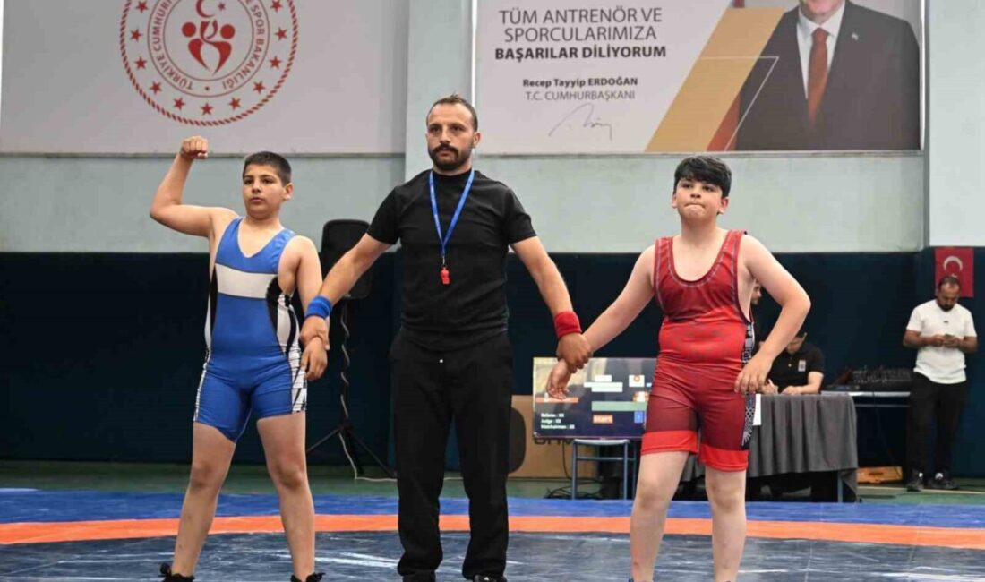 Erzurum Güreş İl Temsilciliği faaliyet programı kapsamında düzenlenen Minikler Güreş