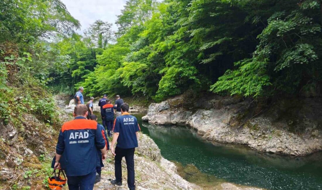 Ordu’nun Altınordu ilçesinde ırmağa düşerek ağır yaralanan şahıs, kaldırıldığı hastanede