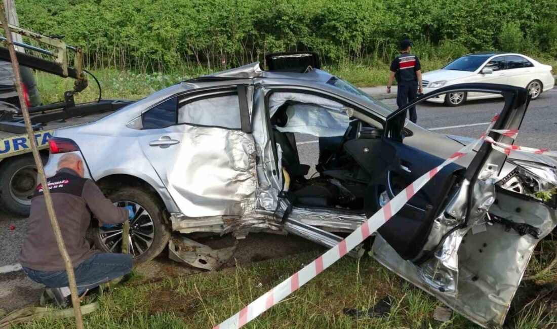 Ordu’nun Altınordu ilçesinde sürücüsünün kontrolünden çıkan otomobil, refüje çıkarak aydınlatma