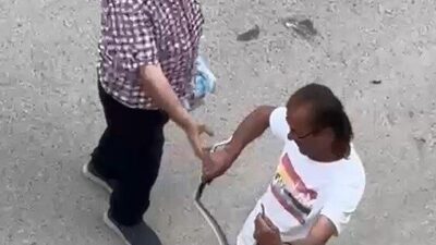 Sakarya’nın Kaynarca ilçesinde bir evin içine giren yılan, belediye personelince