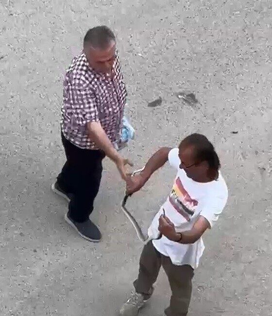 Sakarya’nın Kaynarca ilçesinde bir evin içine giren yılan, belediye personelince