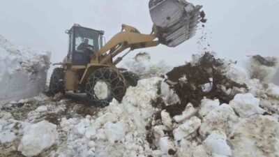 Geçtiğimiz haftaya kadar Rize’nin yüksek kesimlerinde etkisini sürdüren kar yağışı