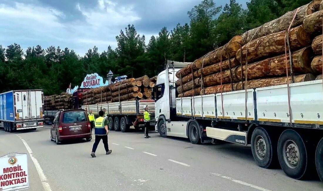 Sinop Orman Bölge Müdürlüğü ekipleri, orman emvali nakillerine yönelik denetimlerini