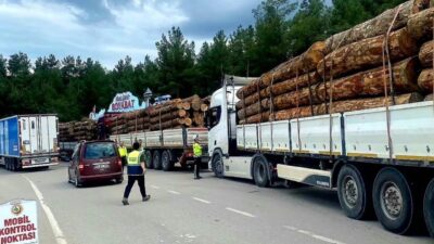 Sinop Orman Bölge Müdürlüğü ekipleri, orman emvali nakillerine yönelik denetimlerini
