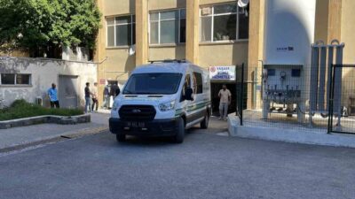 Sivas’ta kene tutunması sonucu Kırım Kongo Kanamalı Ateşi (KKKA) hastalığına