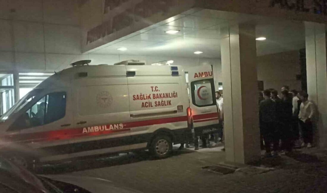 Sivas’ın Gürün ilçesinde çıkan tartışma silahlı kavgaya dönüştü. Tabancayla vurulan