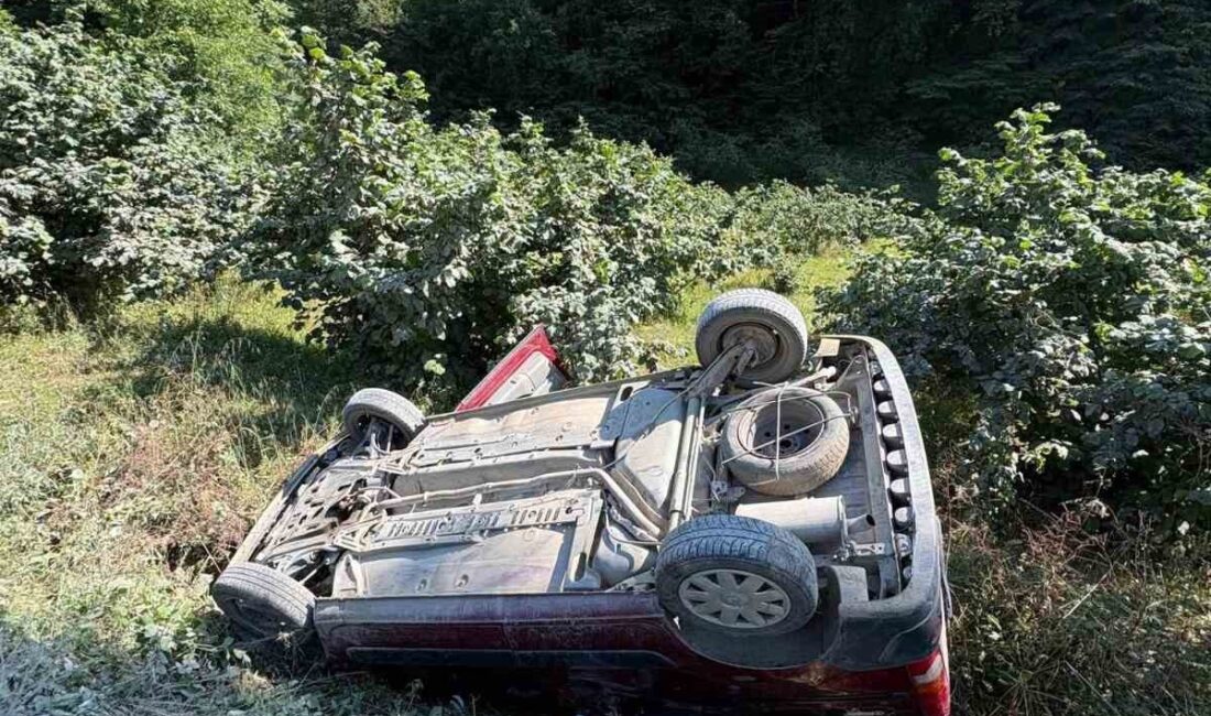 Zonguldak’ın Alaplı ilçesinde meydana gelen trafik kazasında, kontrolden çıkan otomobil
