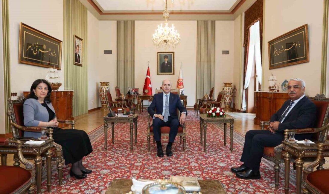 Türkiye Büyük Millet Meclisi Başkanı Numan Kurtulmuş, TBMM Başkanvekili ve