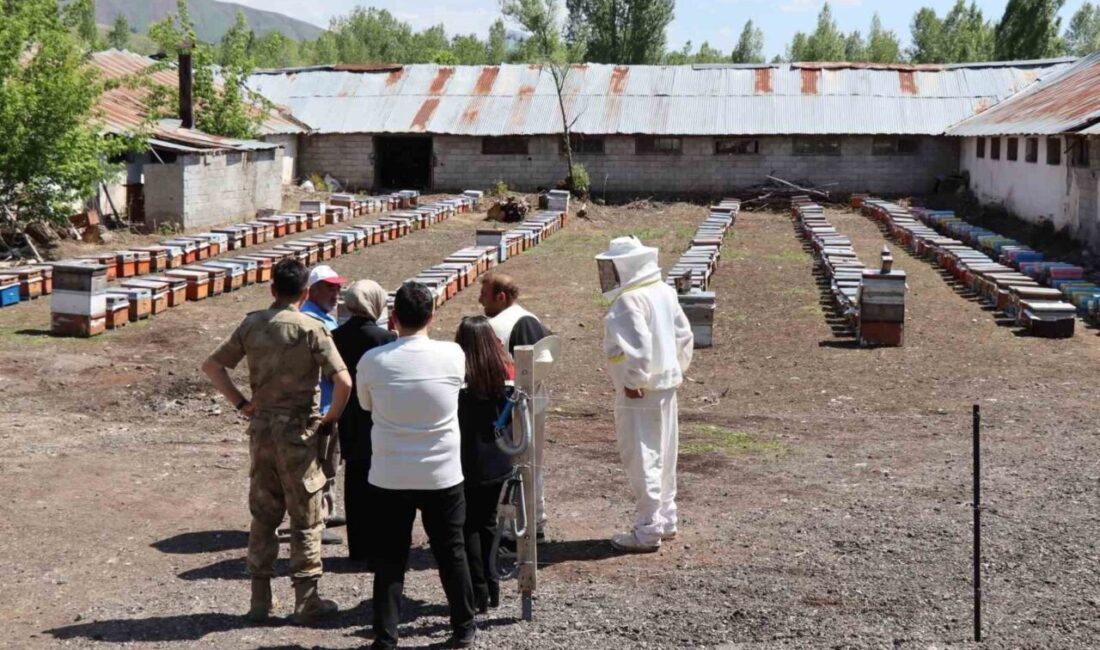 Erzincan’ın Tercan ilçesinde Kaymakam Neslihan Kısa Duman, arıcılık ve seracılık