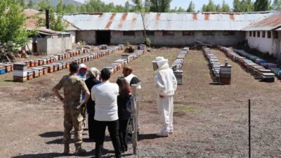 Erzincan’ın Tercan ilçesinde Kaymakam Neslihan Kısa Duman, arıcılık ve seracılık