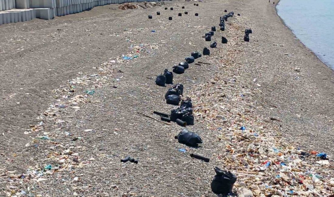 Trabzon’un Ortahisar ilçesinde Beşirli ile Faroz Limanı arasındaki sahil şeridi