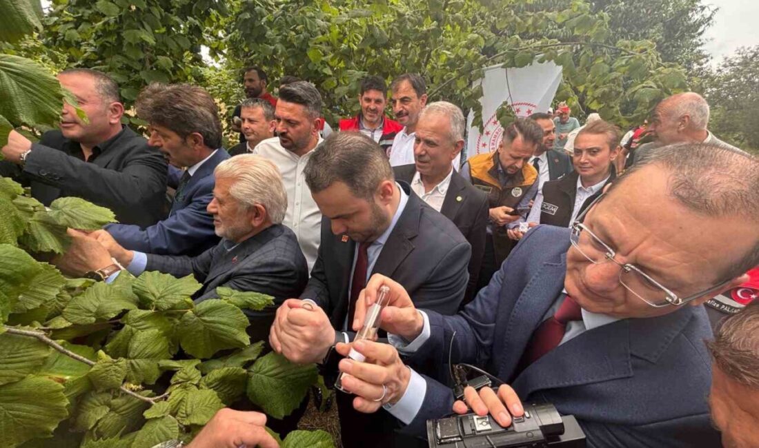 Doğu Karadeniz Bölgesi’nde tarım ürünlerinde ciddi verim ve kalite kayıplarına