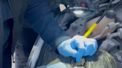 Tunceli’de polis ekipleri tarafından düzenlenen uyuşturucu operasyonunda 2 şüpheli tutuklandı.