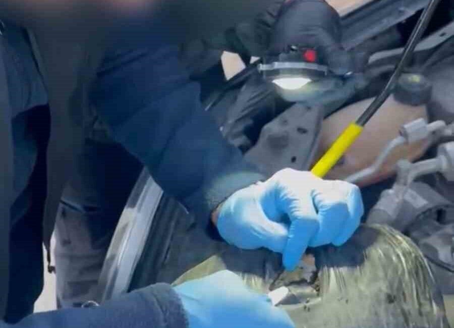Tunceli’de polis ekipleri tarafından düzenlenen uyuşturucu operasyonunda 2 şüpheli tutuklandı.