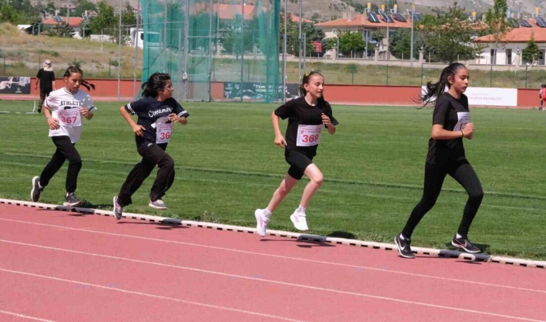 Erzincan Gençlik ve Spor İl Müdürlüğü tarafından düzenlenen U14 (14