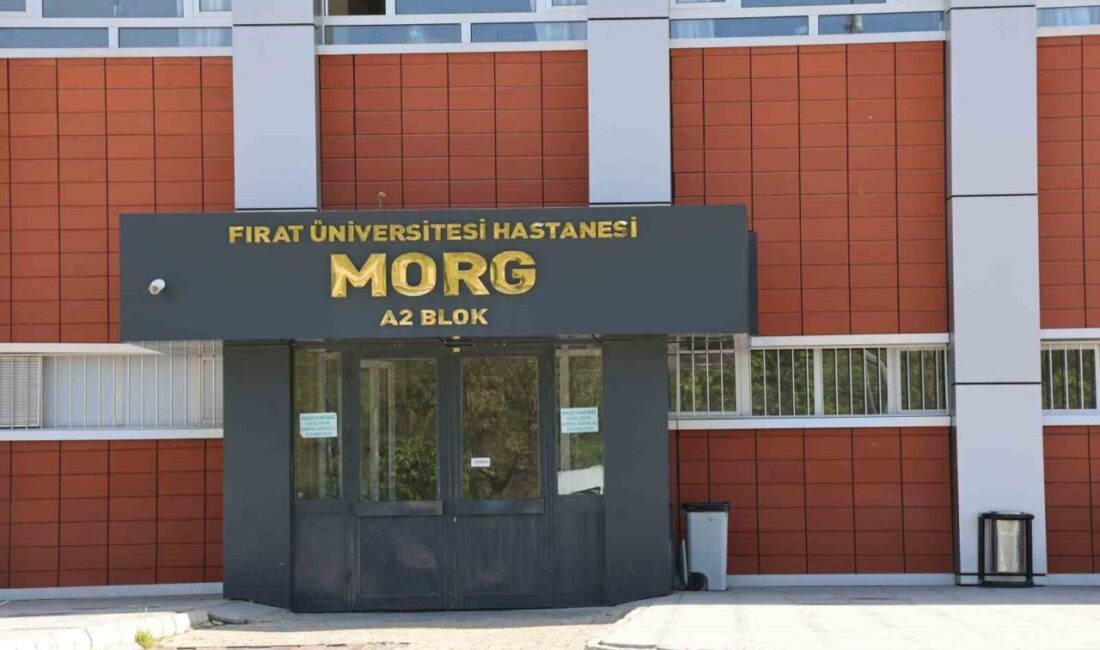 Tunceli’de üzerine beton blok düşen inşaat işçisi hayatını kaybetti. Olay,