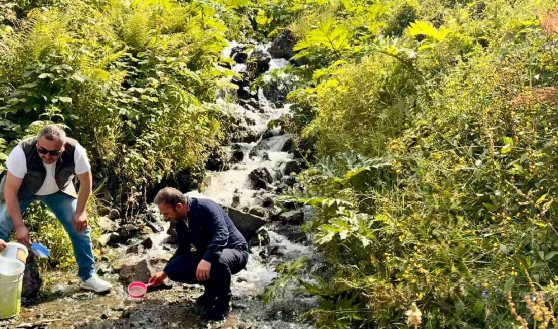Doğa Koruma ve Milli Parklar Bölge Müdürlüğü ekipleri tarafından Uzungöl