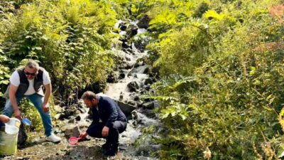 Doğa Koruma ve Milli Parklar Bölge Müdürlüğü ekipleri tarafından Uzungöl