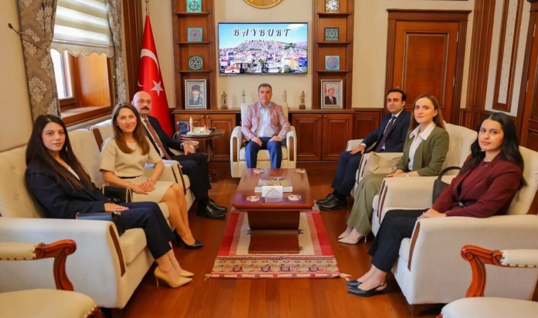 Bayburt Valisi Mustafa Eldivan, Hâkimler ve Savcılar Kurulu (HSK) Adli