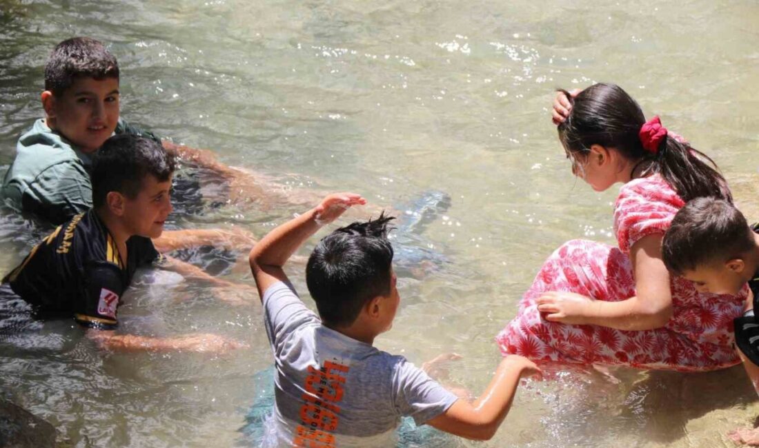 Erzincan’da etkisini artıran sıcak hava nedeniyle serinlemek isteyen vatandaşlar ile