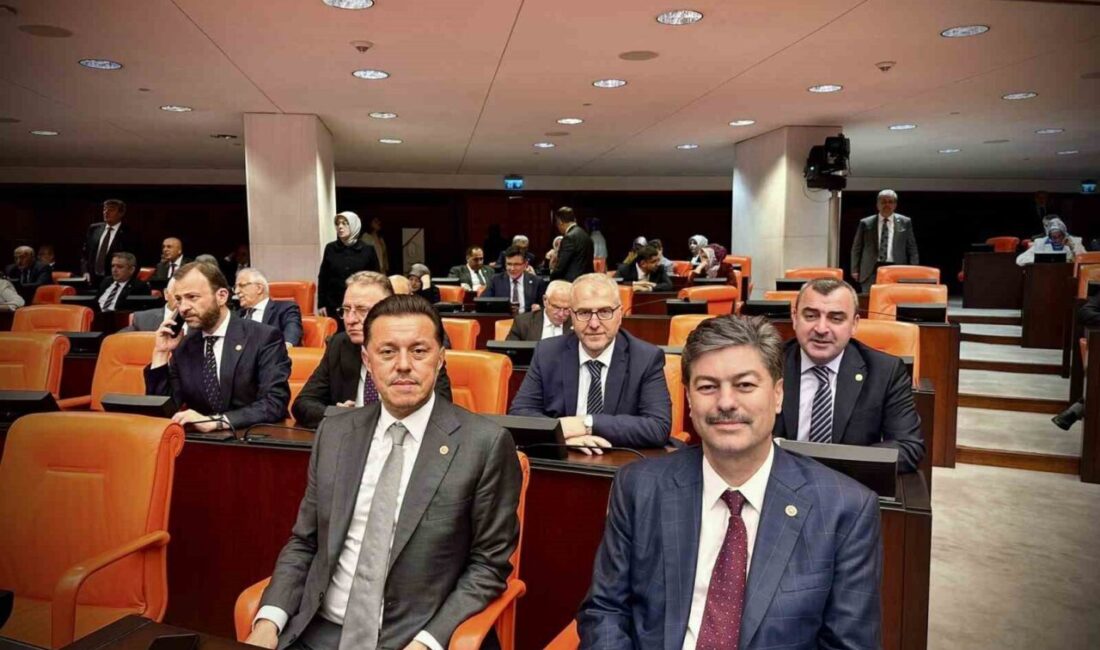 AK Parti Eskişehir Milletvekili Nebi Hatipoğlu, Türkiye Büyük Millet Meclisi