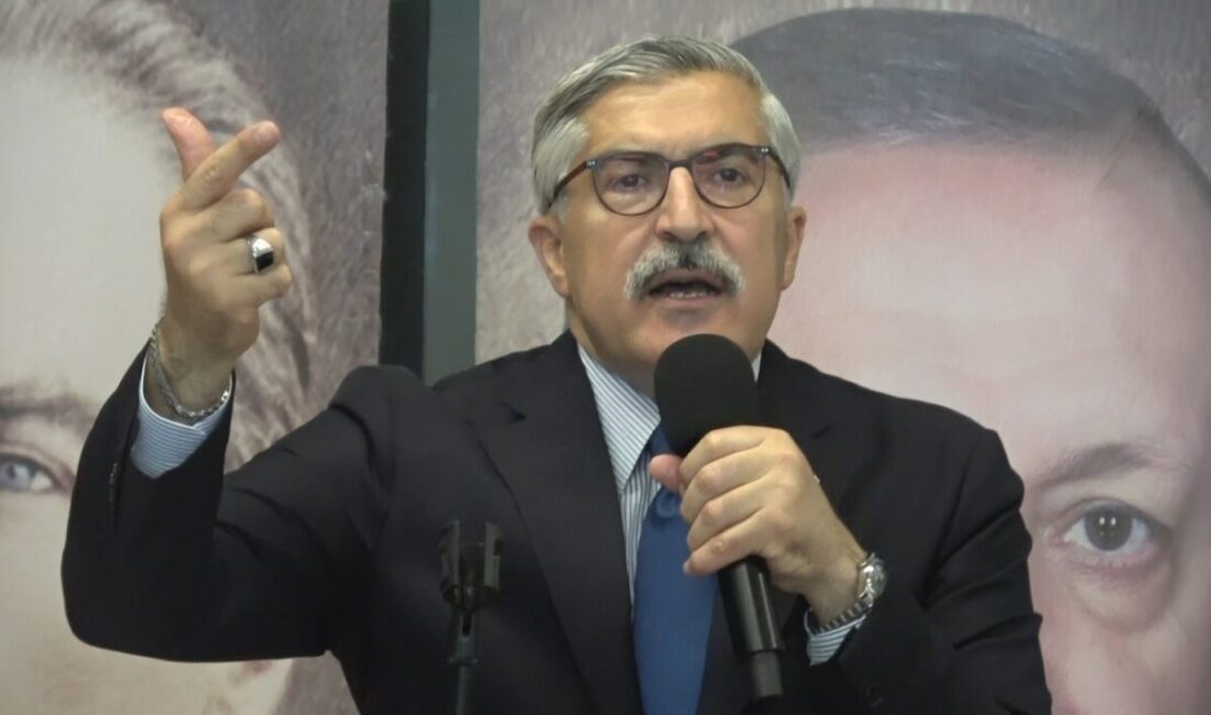 AK Parti Genel Başkan Yardımcısı ve Kültür ve Sanat Politikaları