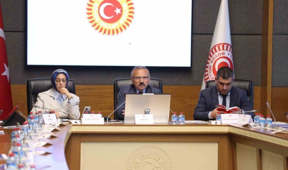 AK Parti Tokat Milletvekili ve TBMM Meclis Araştırması Komisyonu Başkanı