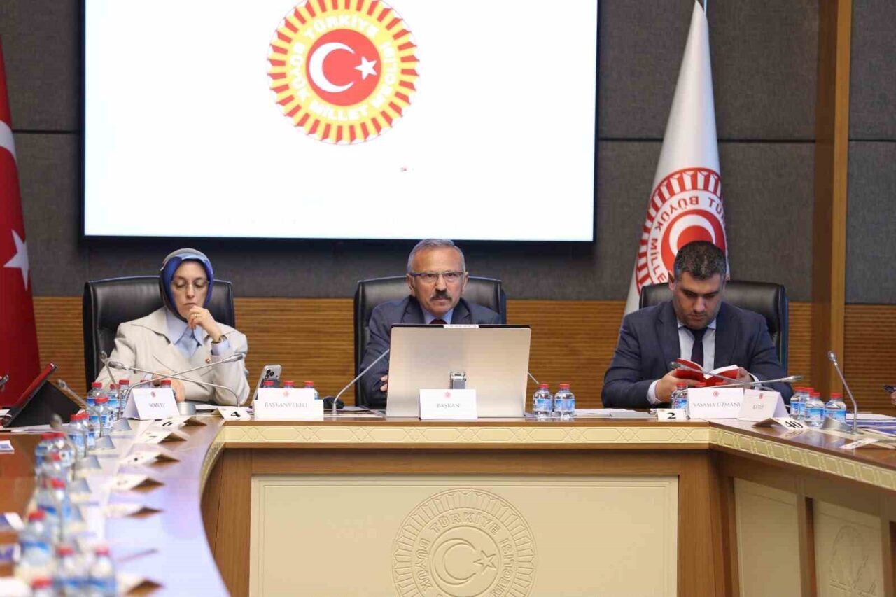 AK Parti Tokat Milletvekili ve TBMM Meclis Araştırması Komisyonu Başkanı