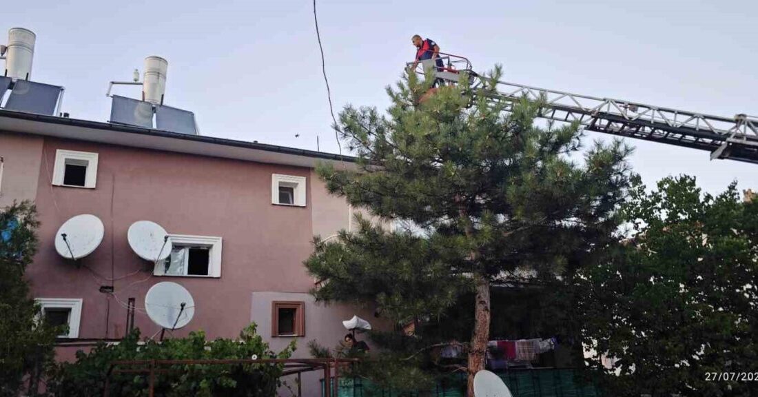 Erzincan’da apartman çatısında mahsur kalan kedi, itfaiye ekiplerinin müdahalesiyle güvenli
