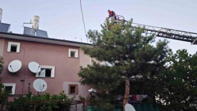 Erzincan’da apartman çatısında mahsur kalan kedi, itfaiye ekiplerinin müdahalesiyle güvenli