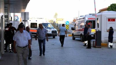 Alerji Hastalıkları Uzmanı Doç. Dr. Senanur Işık, arı sokmalarına karşı