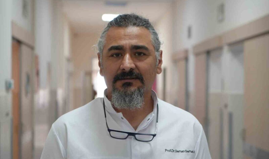 Samsun’da etkisini artıran sıcak hava ve yüksek nem, insanlar kadar