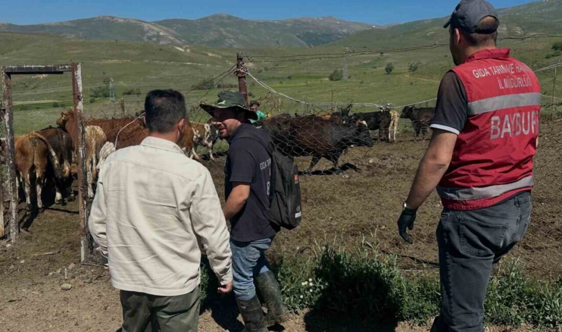 Bayburt’un Aydıntepe ilçesinde, Kırsalda Bereket Hayvancılığa Destek Projesi kapsamında hak