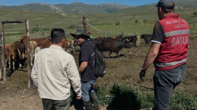 Bayburt’un Aydıntepe ilçesinde, Kırsalda Bereket Hayvancılığa Destek Projesi kapsamında hak