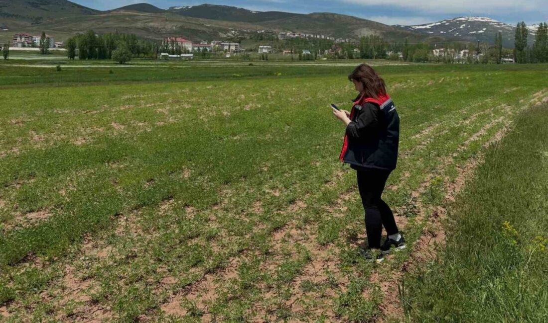 Aydıntepe İlçe Tarım ve Orman Müdürlüğünce, 2026 üretim yılı kapsamında