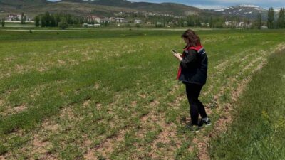 Aydıntepe İlçe Tarım ve Orman Müdürlüğünce, 2026 üretim yılı kapsamında