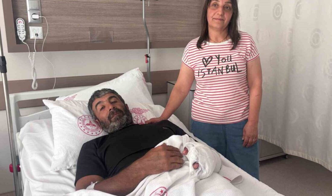 Erzincan’ın Tercan ilçesine bağlı Bağpınar köyünde ayçiçeği tarlasını suladığı sırada