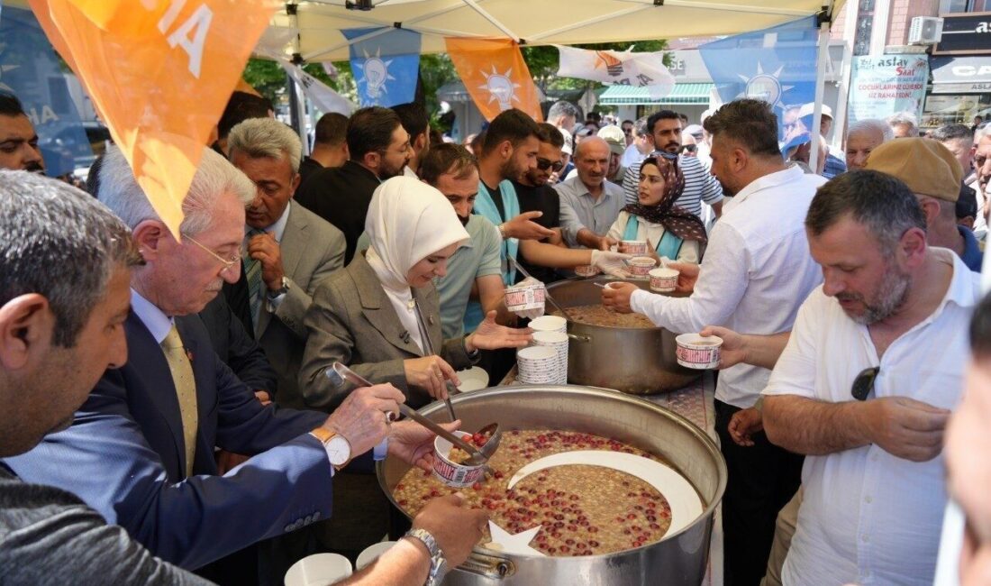 Aile ve Sosyal Hizmetler Bakanı Mahinur Özdemir Göktaş, Erzincan programı
