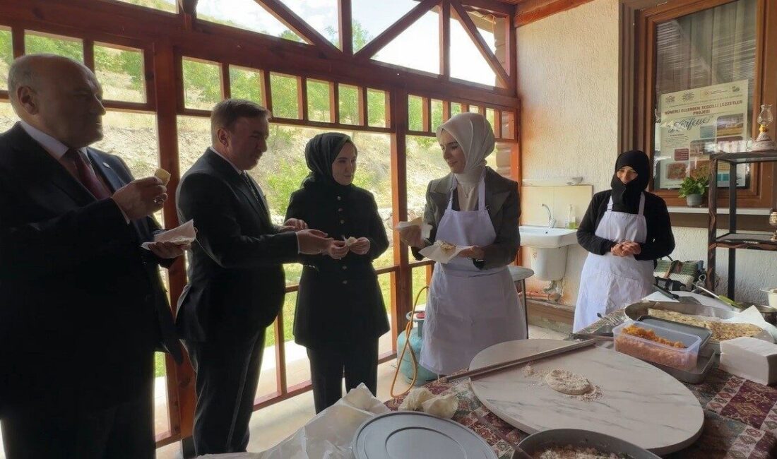 Aile ve Sosyal Hizmetler Bakanı Mahinur Özdemir Göktaş, Erzincan programı